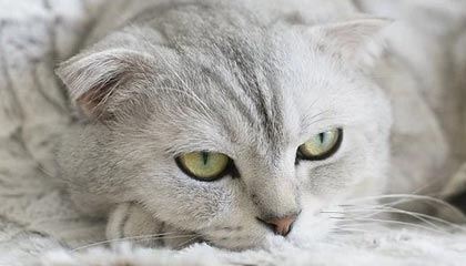 九州娱乐平台|水上运动赛事v3.5.5