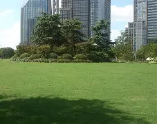 包含宁波海港客场逼平上海绿地申花,保级压力依旧存在的词条 包含宁波海港客场逼平上海绿地申花,保级压力依旧存在的词条